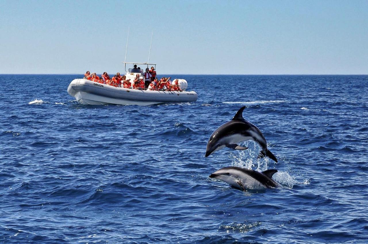 La Tosca Hostel Puerto Madryn Ngoại thất bức ảnh