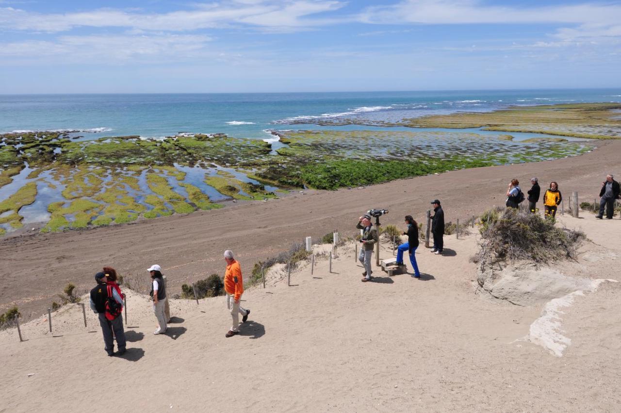 La Tosca Hostel Puerto Madryn Ngoại thất bức ảnh
